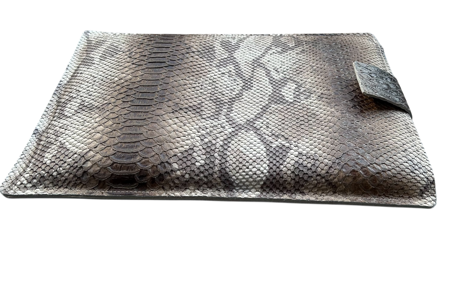 Workshop: Laptophoes